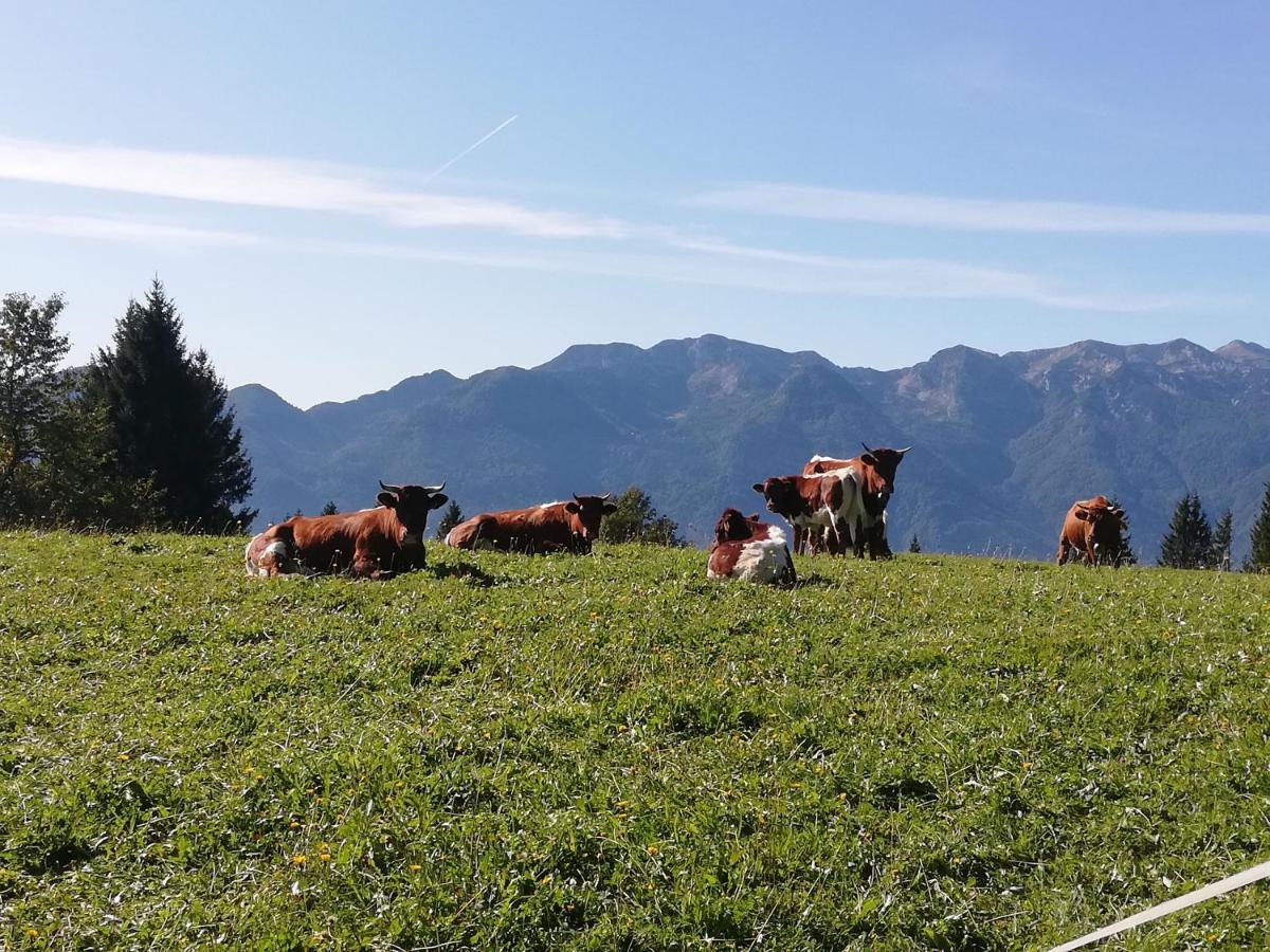 Apartment Brunarica Na Goreljeku Bohinj